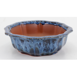 Bonsai pot CCH611 SHIWAN XENJI view 2