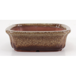 Bonsai pot CCH601 SHIWAN XENJI view 2