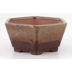 Bonsai pot CCH493 SHIWAN XENJI view 2