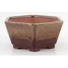 Bonsai pot CCH493 SHIWAN XENJI view 2