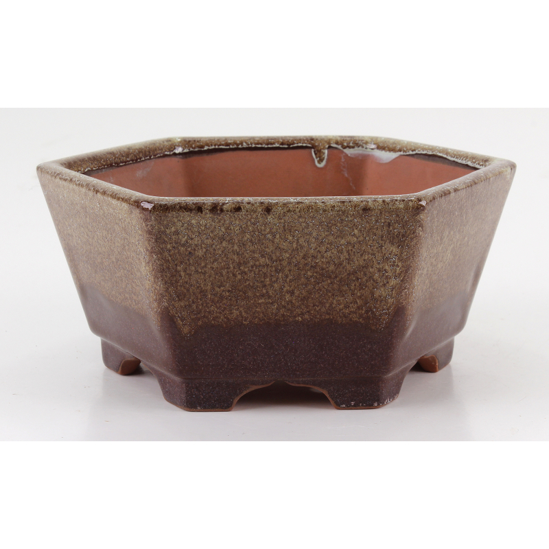 Bonsai pot CCH493 SHIWAN XENJI