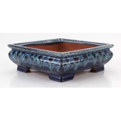 Bonsai pot CCH494 SHIWAN XENJI