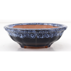 Bonsai pot CCH492 SHIWAN XENJI view 3