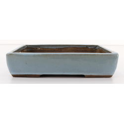 Bonsai pot JTAE101 EJIRI TAIZAN