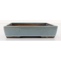 Bonsai pot JTAE100 EJIRI TAIZAN