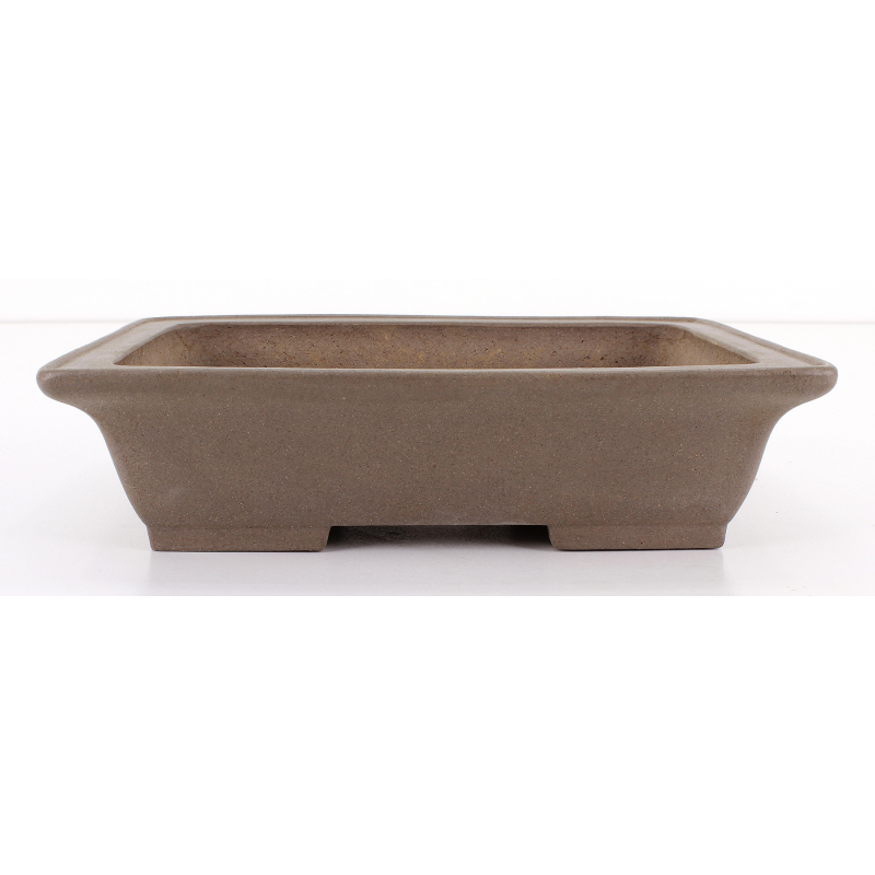 Bonsai pot JTA8082 SHIBAKATSU