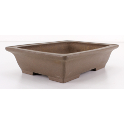 Bonsai pot JTA8082 SHIBAKATSU view 2