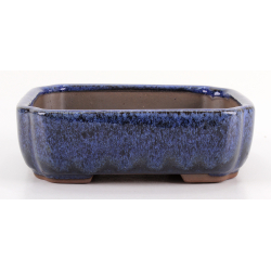 Bonsai pot CCH645 SHIWAN XENJI