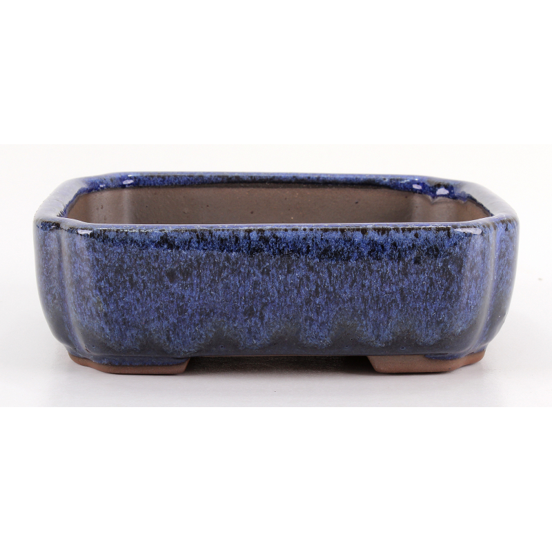 Bonsai pot CCH645 SHIWAN XENJI