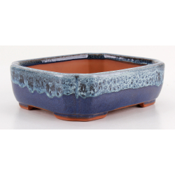 Bonsai pot CCH645 SHIWAN XENJI view 4