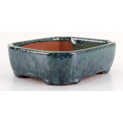 Bonsai pot CCH644 SHIWAN XENJI view 2