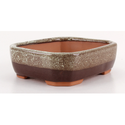 Bonsai pot CCH646 SHIWAN XENJI view 2