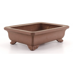 Bonsai pot JTA8075 IZUMI-YA ZENIGO view 2