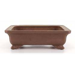 Bonsai pot JTA8075 IZUMI-YA ZENIGO