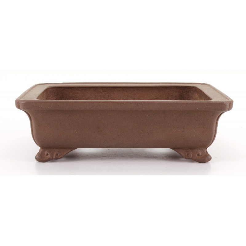 Bonsai pot JTA8075 IZUMI-YA ZENIGO