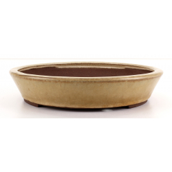 Maceta bonsái JTA8079 YAMAAKI TOSHIO