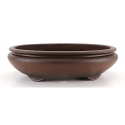 Bonsai pot JTA8074 TAZAN