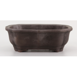 Bonsai pot CCH641 SHIWAN XENJI