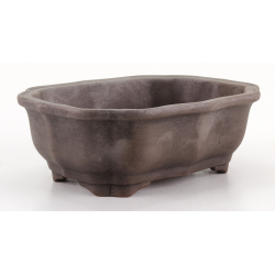 Bonsai pot CCH641 SHIWAN XENJI view 2