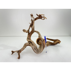 Wood for tanuki bonsai 61