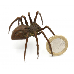 Japanese copper-bronze tenpai 124 spider view 2