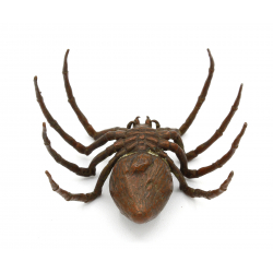 Japanese copper-bronze tenpai 124 spider view 3