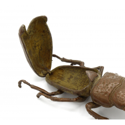 Tenpai japonés cobre-bronce 125 escarabajo gigante vista 3