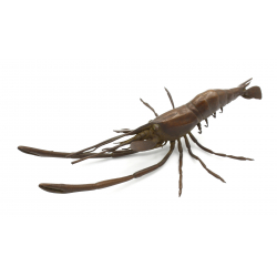 Japanese copper-bronze tenpai 132 prawn