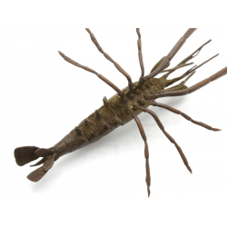 Japanese copper-bronze tenpai 132 prawn view 3