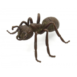 Japanese copper-bronze tenpai 135 ant