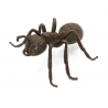 Japanese copper-bronze tenpai 135 ant