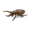 Japanese copper-bronze tenpai 137 rhino-beetle