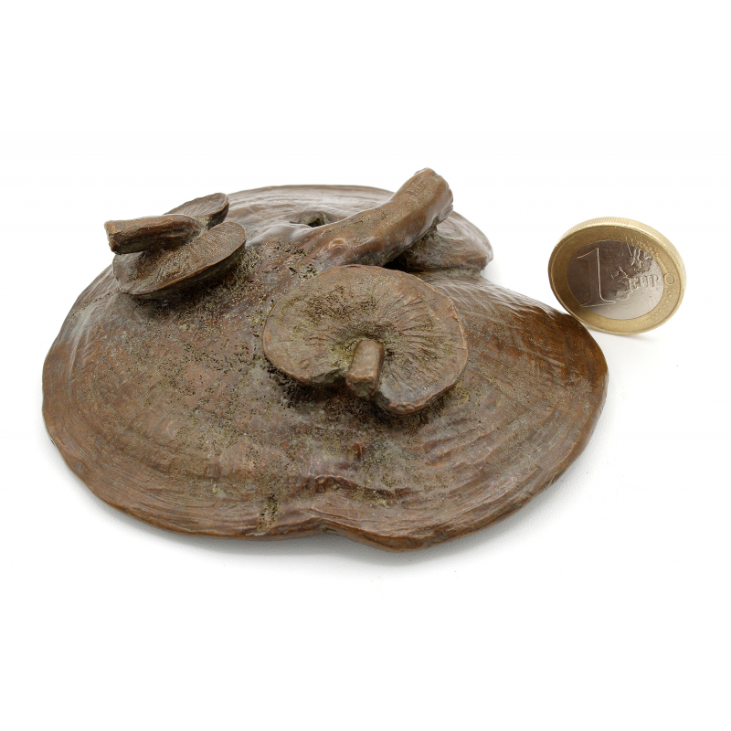 Tenpai japonés cobre-bronce 138 seta shitake | Laos Garden