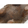 Tenpai japonés cobre-bronce 139 pangolin view 4