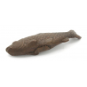 Tenpai japonés cobre-bronce 140 carpa koi vista 3