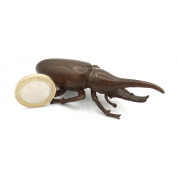 Japanese copper-bronze tenpai 141 rhino-beetle view 2