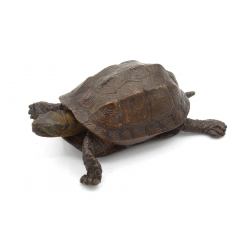 Japanese copper-bronze tenpai 155 turtle