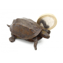 Japanese copper-bronze tenpai 155 turtle view 2