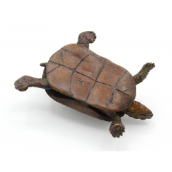 Japanese copper-bronze tenpai 155 turtle view 4