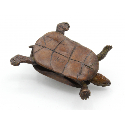 Tenpai japonés cobre-bronce 155 tortuga vista 4