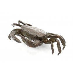 Japanese copper-bronze tenpai 156 crab