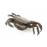 Japanese copper-bronze tenpai 156 crab