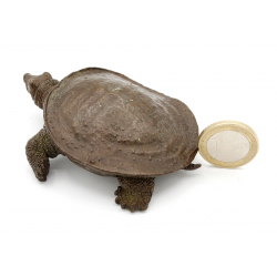 Japanese copper-bronze tenpai 158 XL turtle view 2