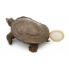 Tenpai japonés cobre-bronce 158 tortuga XL vista 2
