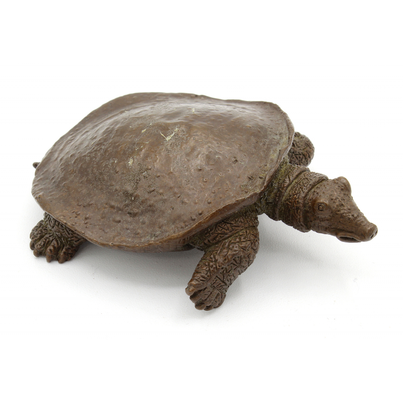Japanese copper-bronze tenpai 158 XL turtle