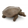 Japanese copper-bronze tenpai 158 XL turtle
