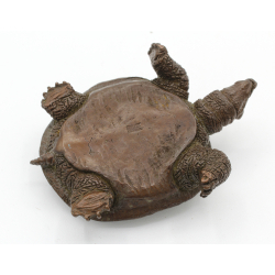 Japanese copper-bronze tenpai 158 XL turtle view 3