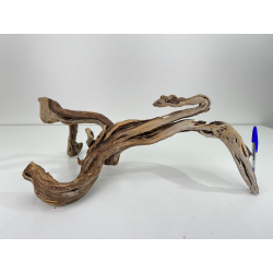 Wood for tanuki bonsai 64