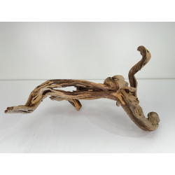 Wood for tanuki bonsai 64 view 3