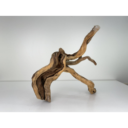 Wood for tanuki bonsai 65 view 2